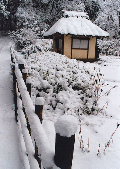 A Day after the Snow